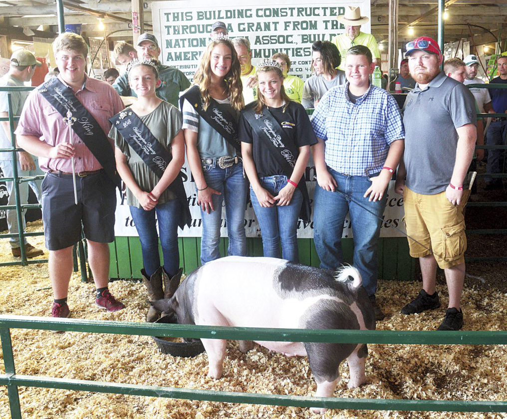 4-H, FFA members auction pigs at Waterford Community Fair | News ...